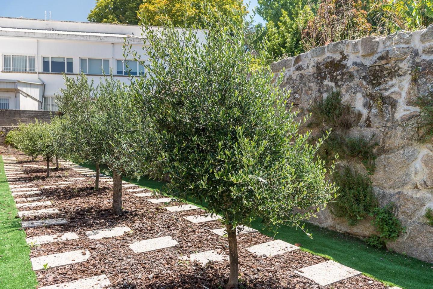 Guestready - Jardim Das Oliveiras Guesthouse - 2 Porto Bagian luar foto
